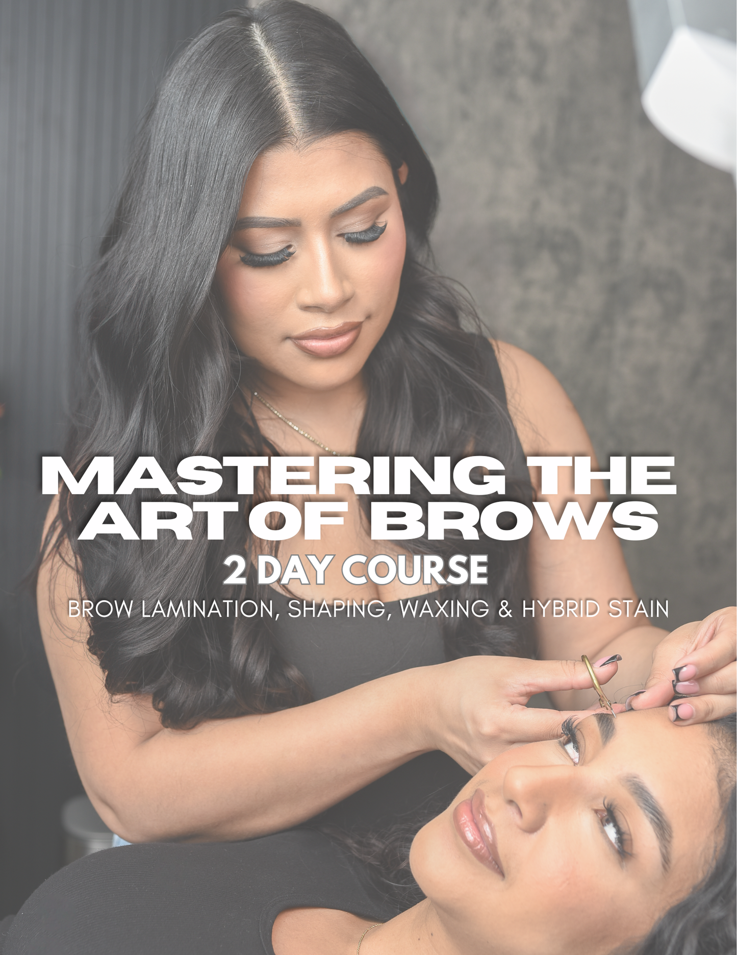 2-Day Private 1:1  Brow Lamination Training