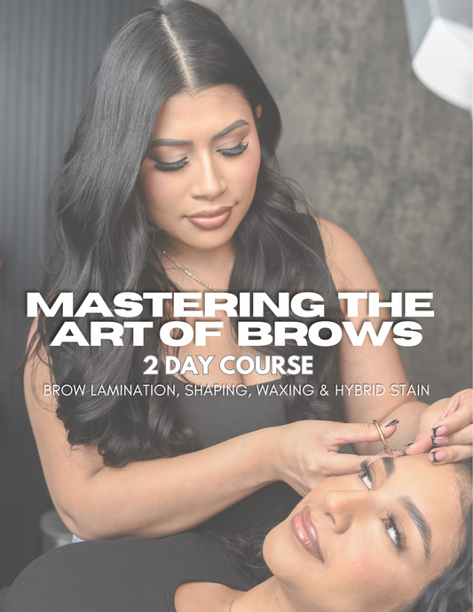 2-Day Private 1:1  Brow Lamination Training