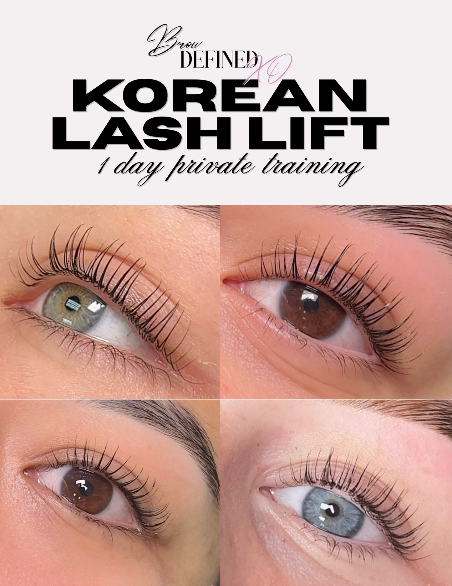 1 Day Private 1:1 Korean Lash Lift Training